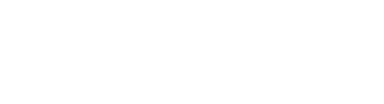 Ayni POS